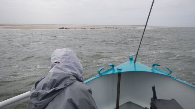 HWK Texel 2015 082.jpg